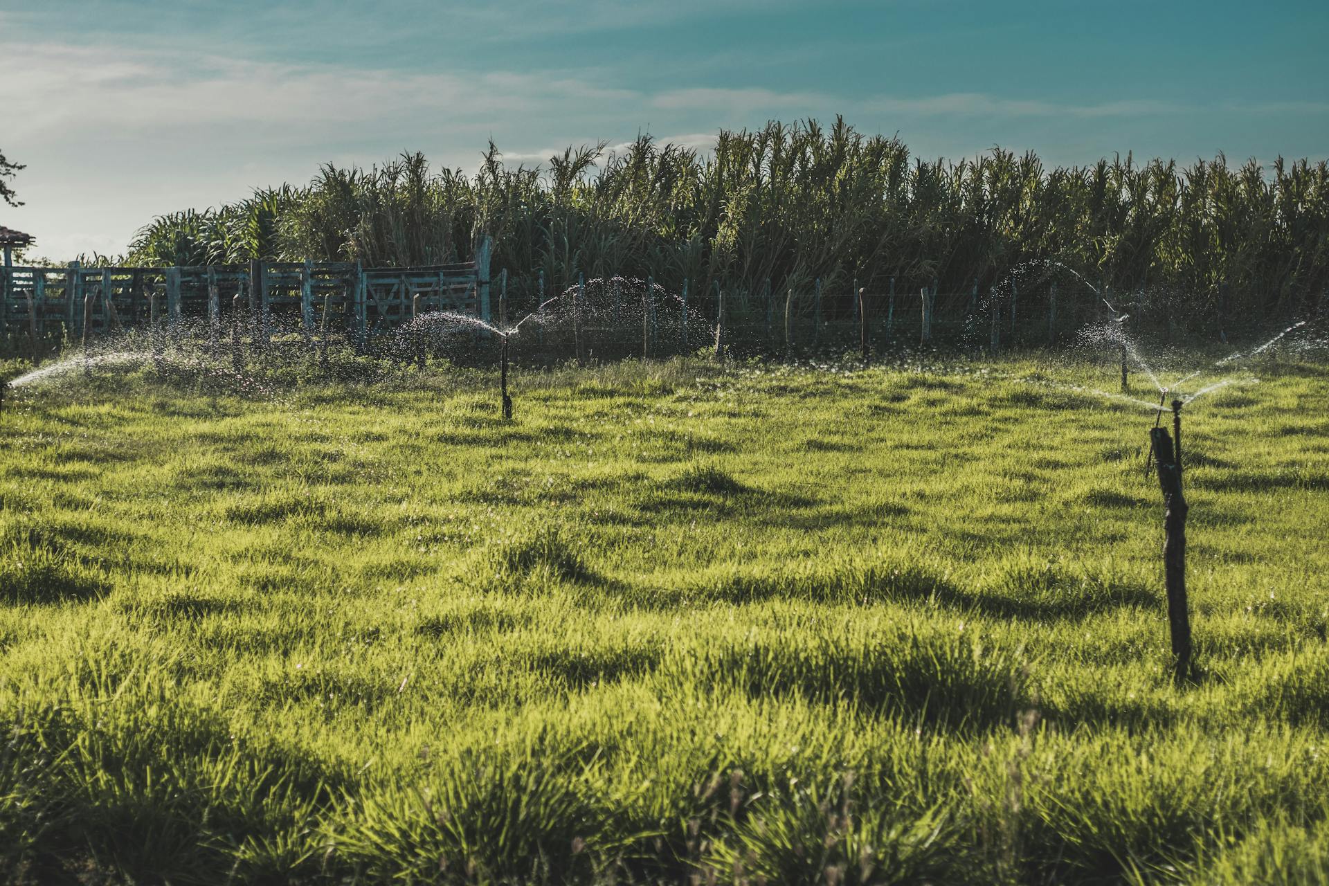 Waarom je tuin een irrigatiesysteem nodig heeft